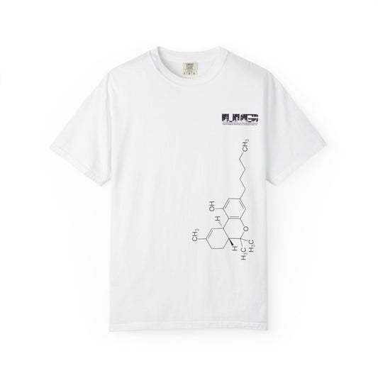 Chemistry-T-Shirt