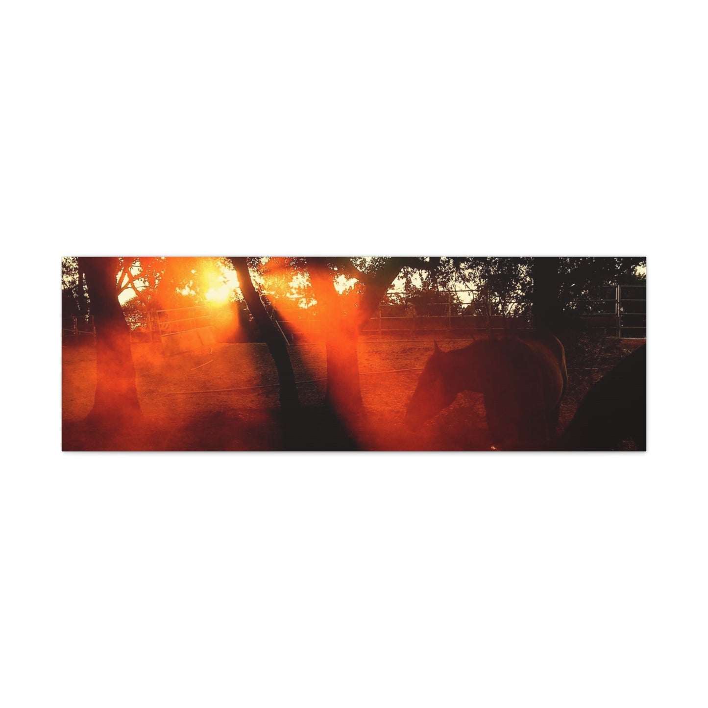 Sunset Forest Matte Canvas Wall Art — Dramatic Orange Light Photography