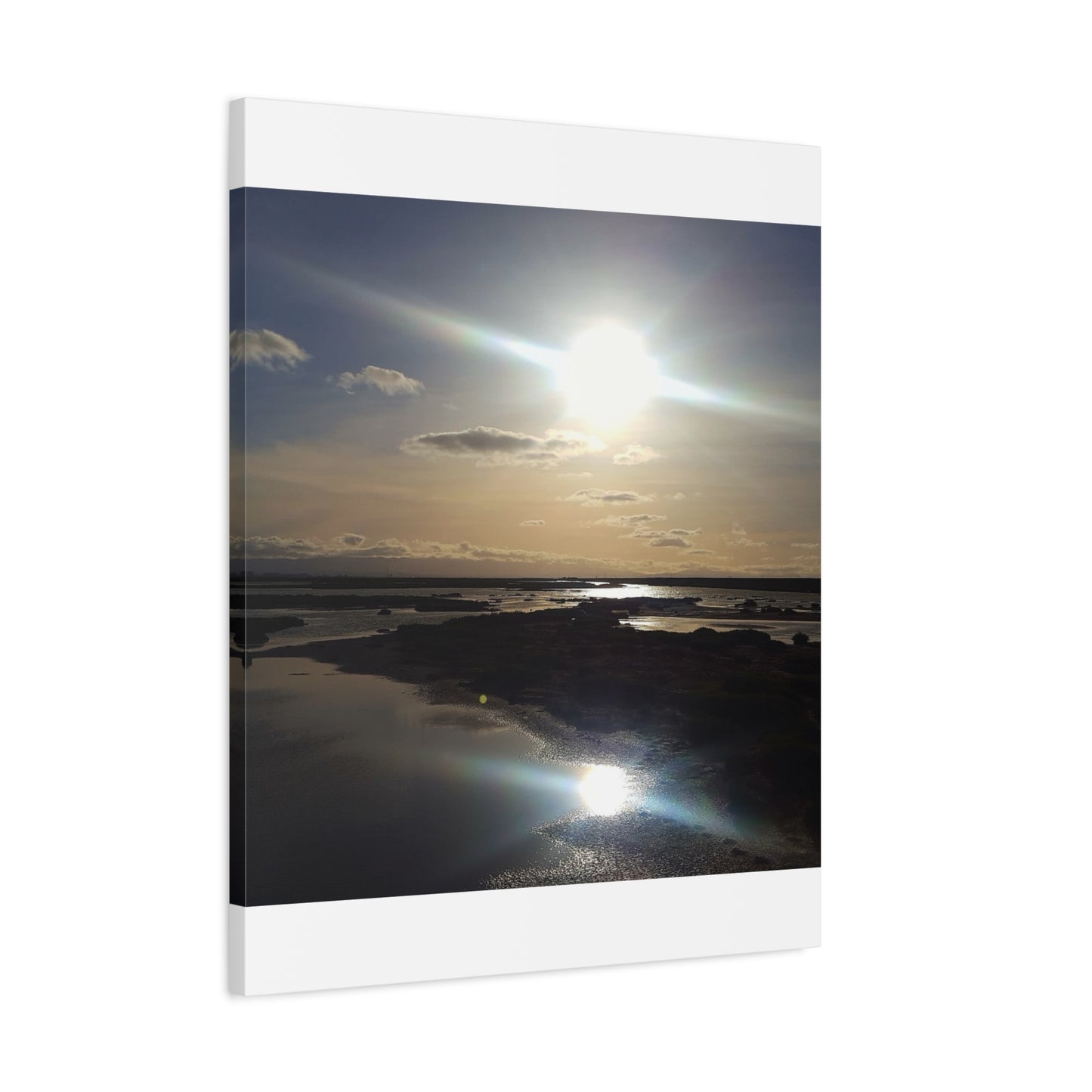 Sunlit Coastal Reflection (don edwards preserve)Canvas Print — Matte Stretched Wall Art