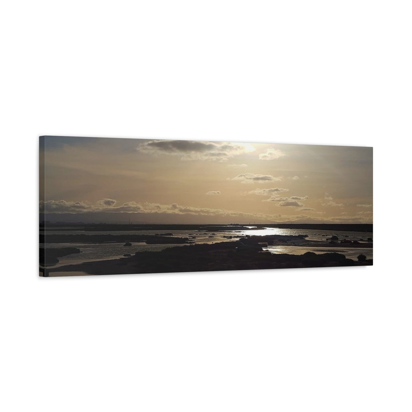 Sunlit Coastal Reflection (don edwards preserve)Canvas Print — Matte Stretched Wall Art