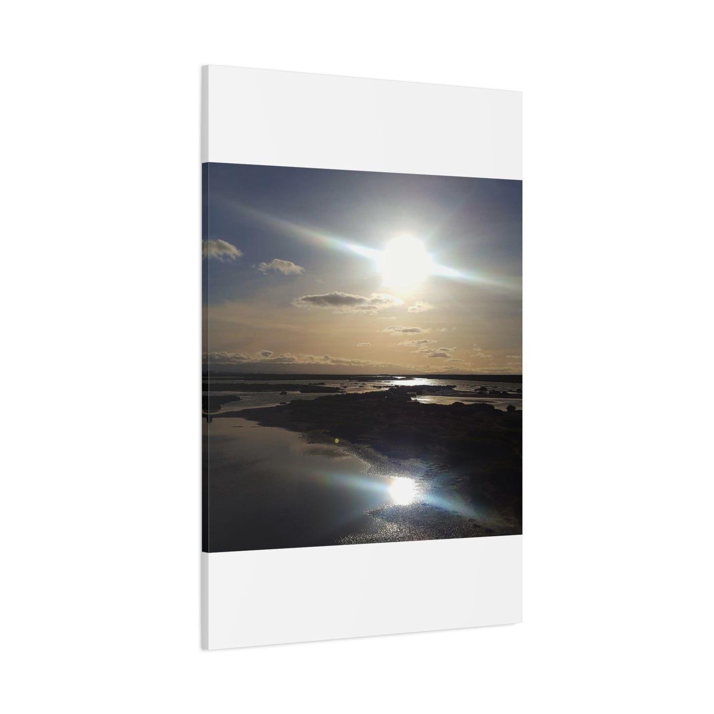 Sunlit Coastal Reflection (don edwards preserve)Canvas Print — Matte Stretched Wall Art