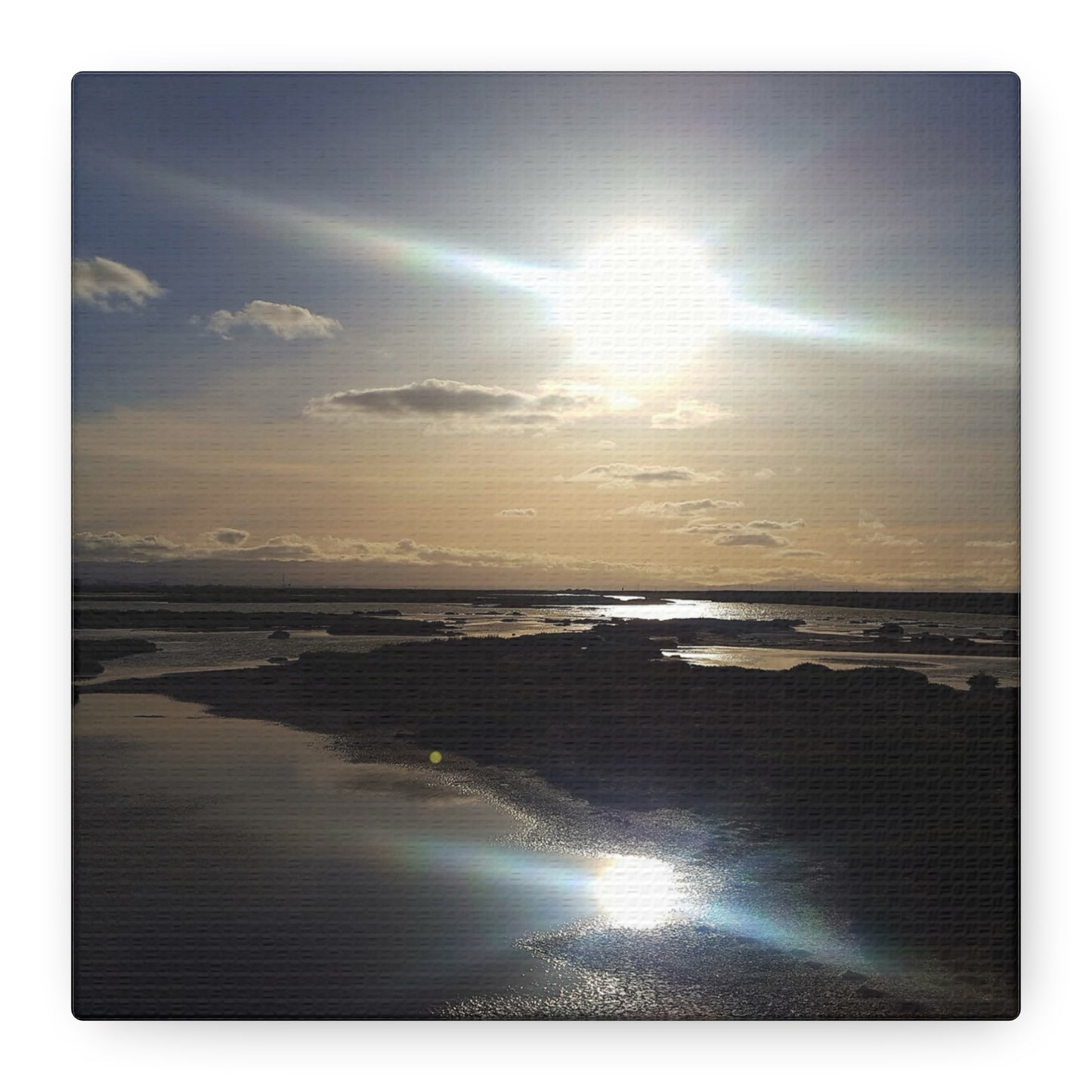 Sunlit Coastal Reflection (don edwards preserve)Canvas Print — Matte Stretched Wall Art
