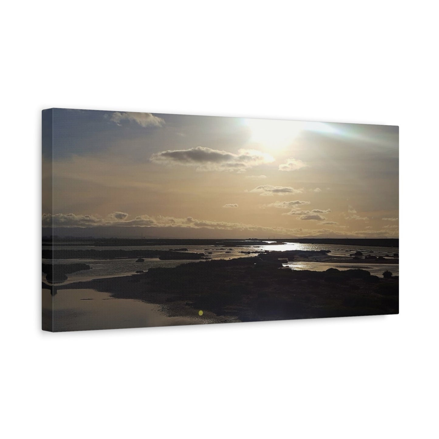 Sunlit Coastal Reflection (don edwards preserve)Canvas Print — Matte Stretched Wall Art