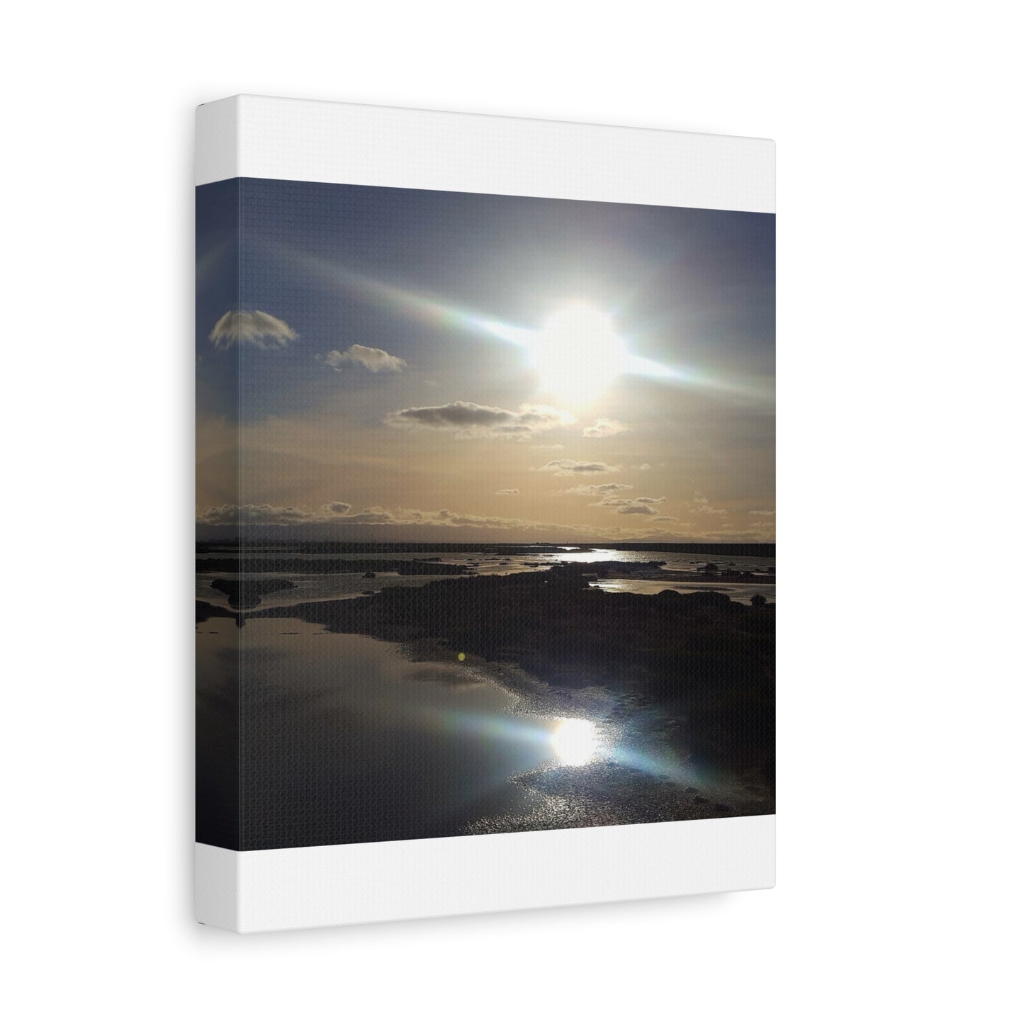 Sunlit Coastal Reflection (don edwards preserve)Canvas Print — Matte Stretched Wall Art