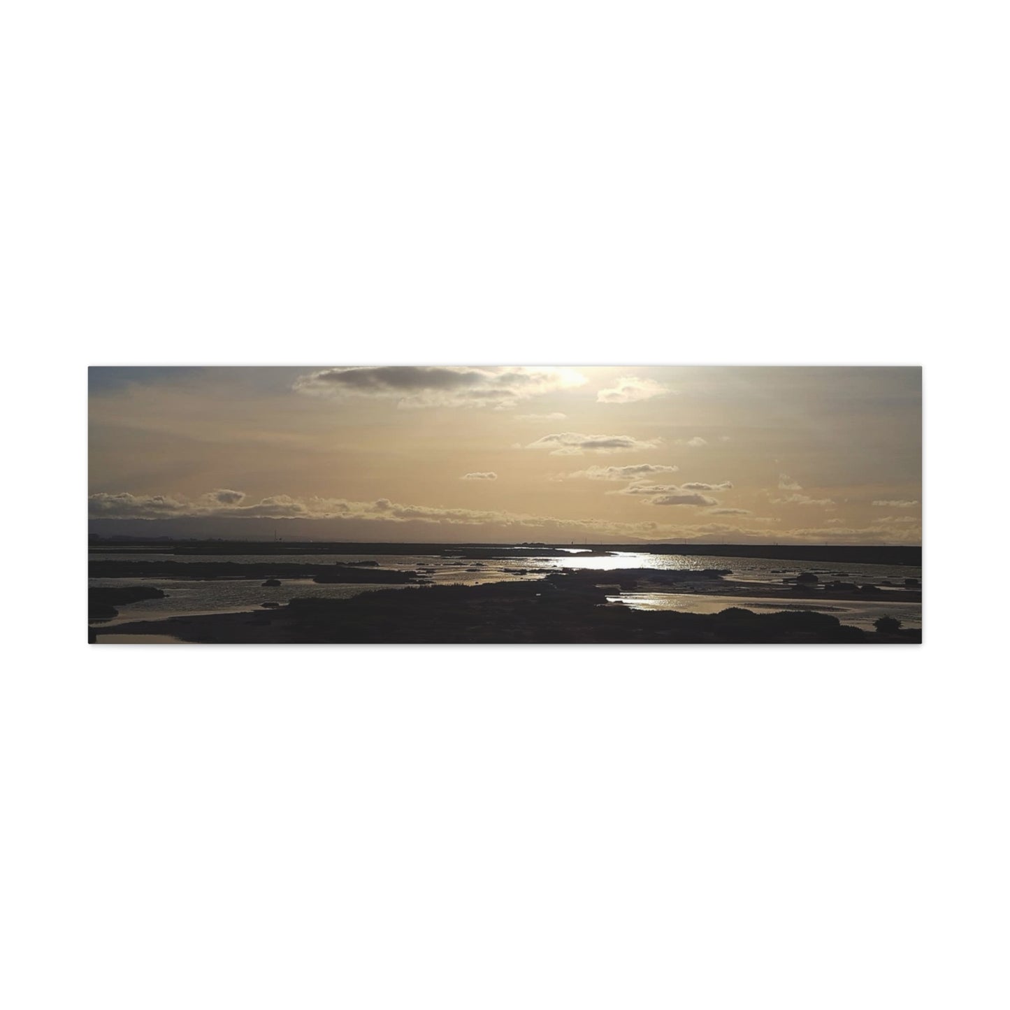 Sunlit Coastal Reflection (don edwards preserve)Canvas Print — Matte Stretched Wall Art