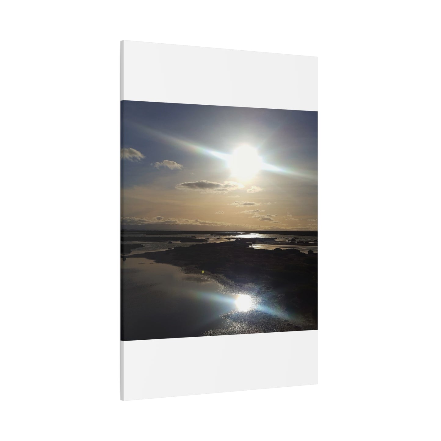 Sunlit Coastal Reflection (don edwards preserve)Canvas Print — Matte Stretched Wall Art