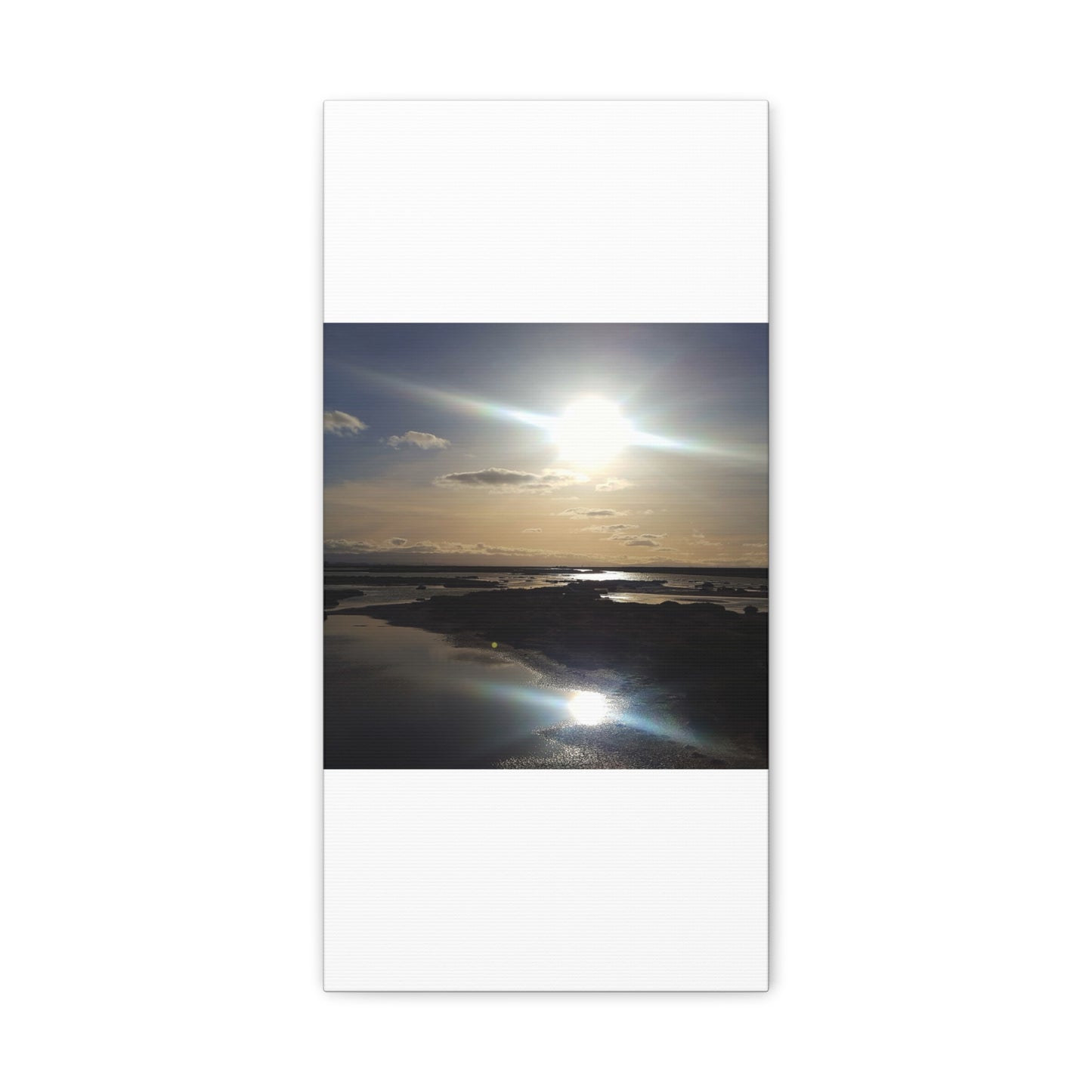Sunlit Coastal Reflection (don edwards preserve)Canvas Print — Matte Stretched Wall Art
