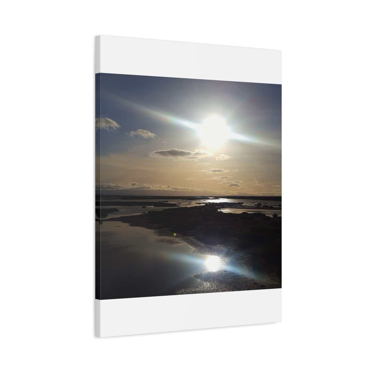 Sunlit Coastal Reflection (don edwards preserve)Canvas Print — Matte Stretched Wall Art