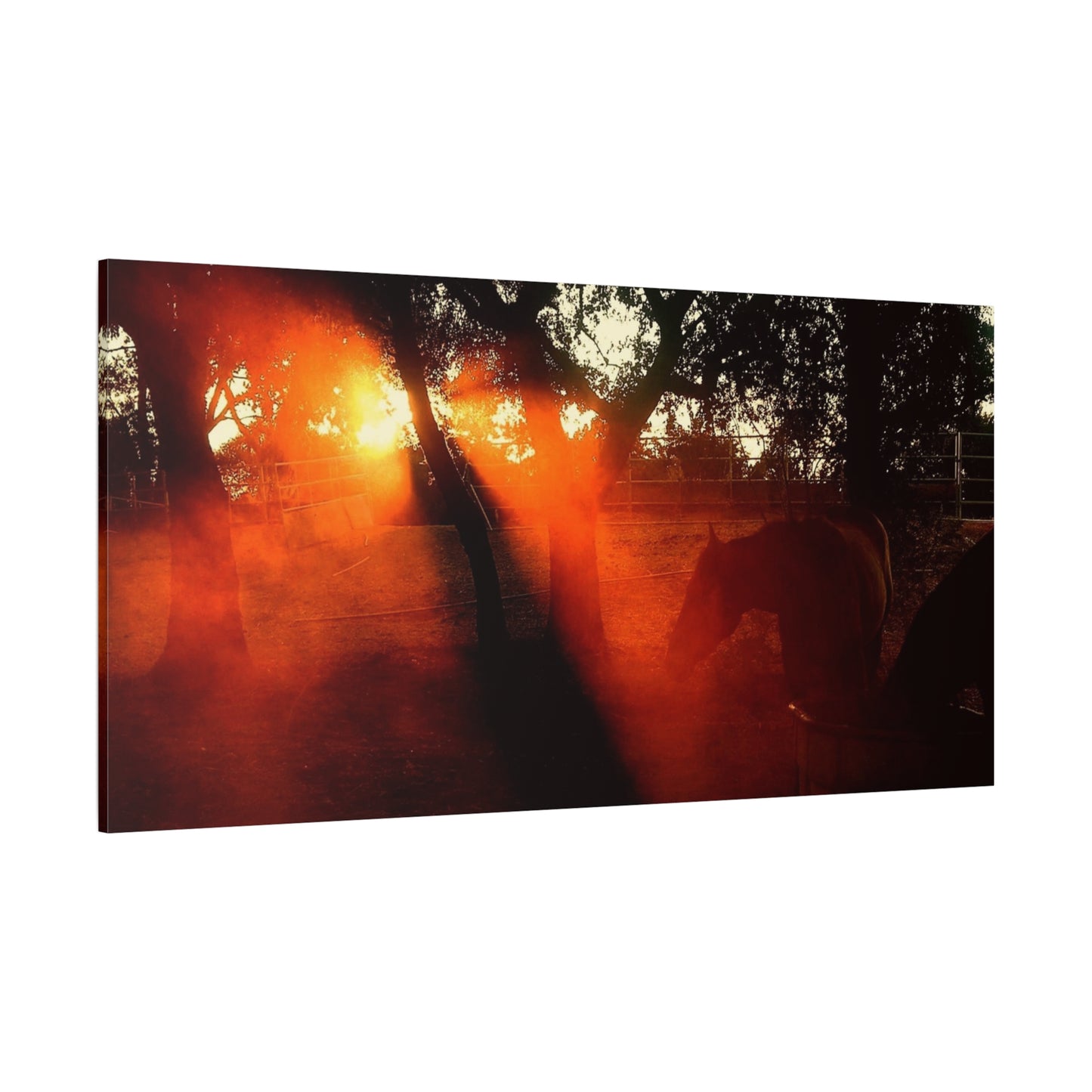 Sunset Forest Matte Canvas Wall Art — Dramatic Orange Light Photography