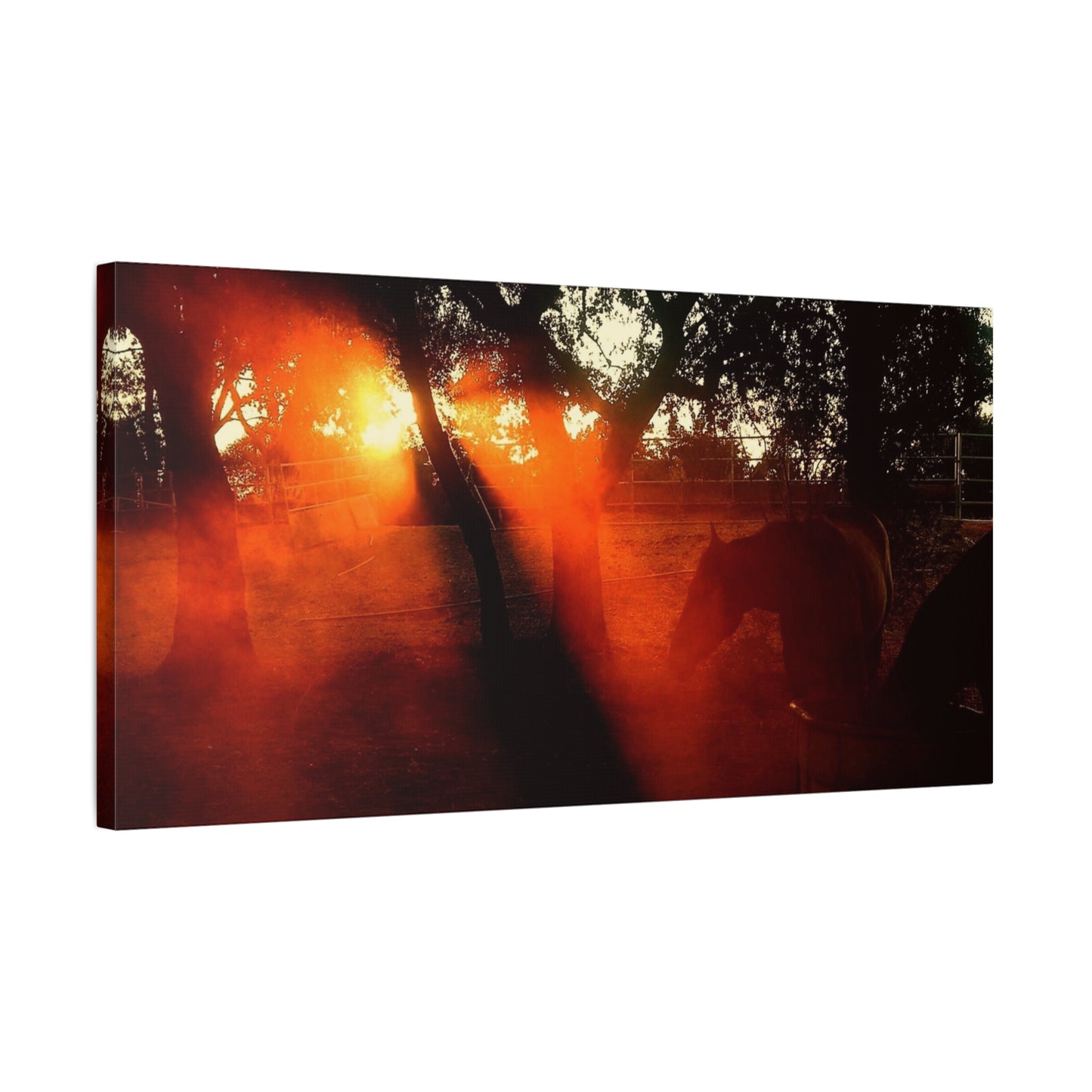 Sunset Forest Matte Canvas Wall Art — Dramatic Orange Light Photography