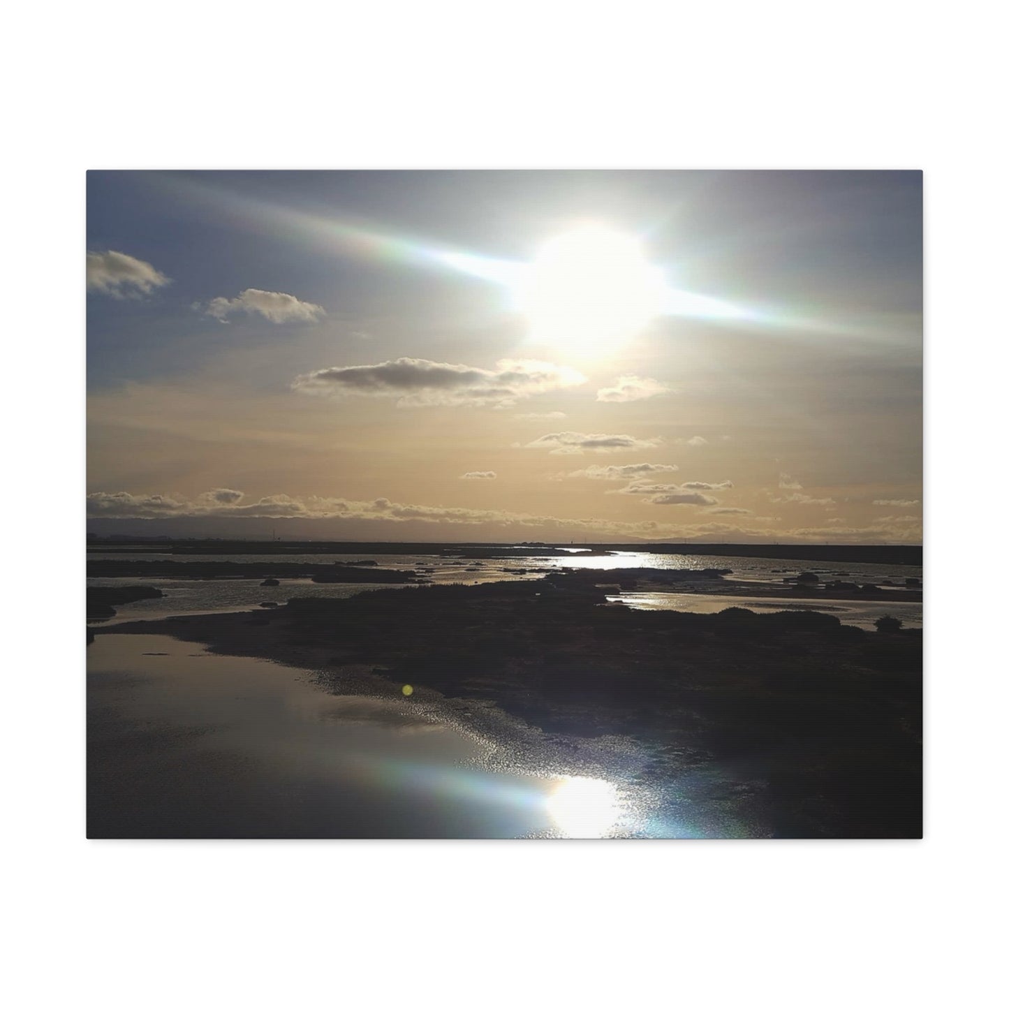 Sunlit Coastal Reflection (don edwards preserve)Canvas Print — Matte Stretched Wall Art