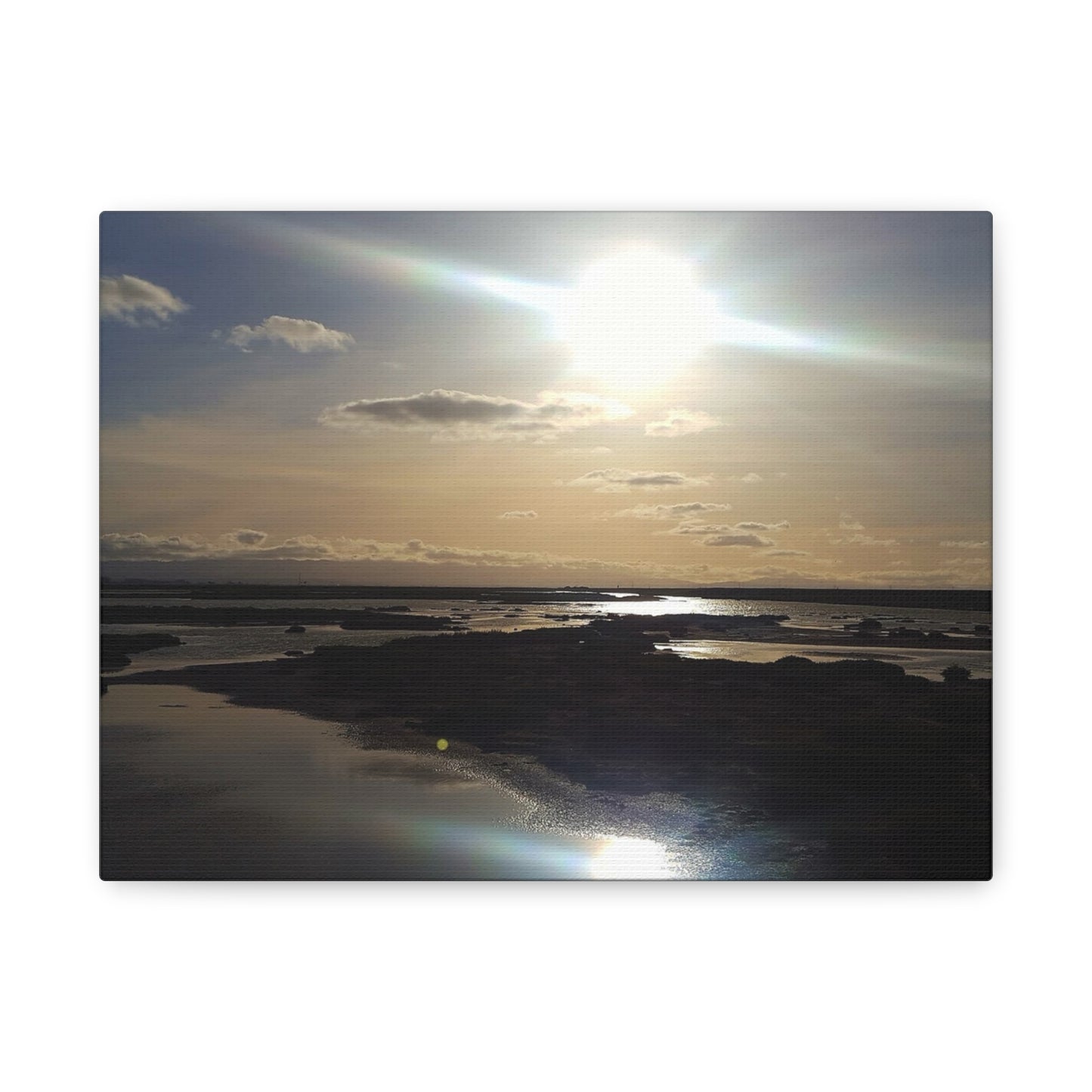 Sunlit Coastal Reflection (don edwards preserve)Canvas Print — Matte Stretched Wall Art