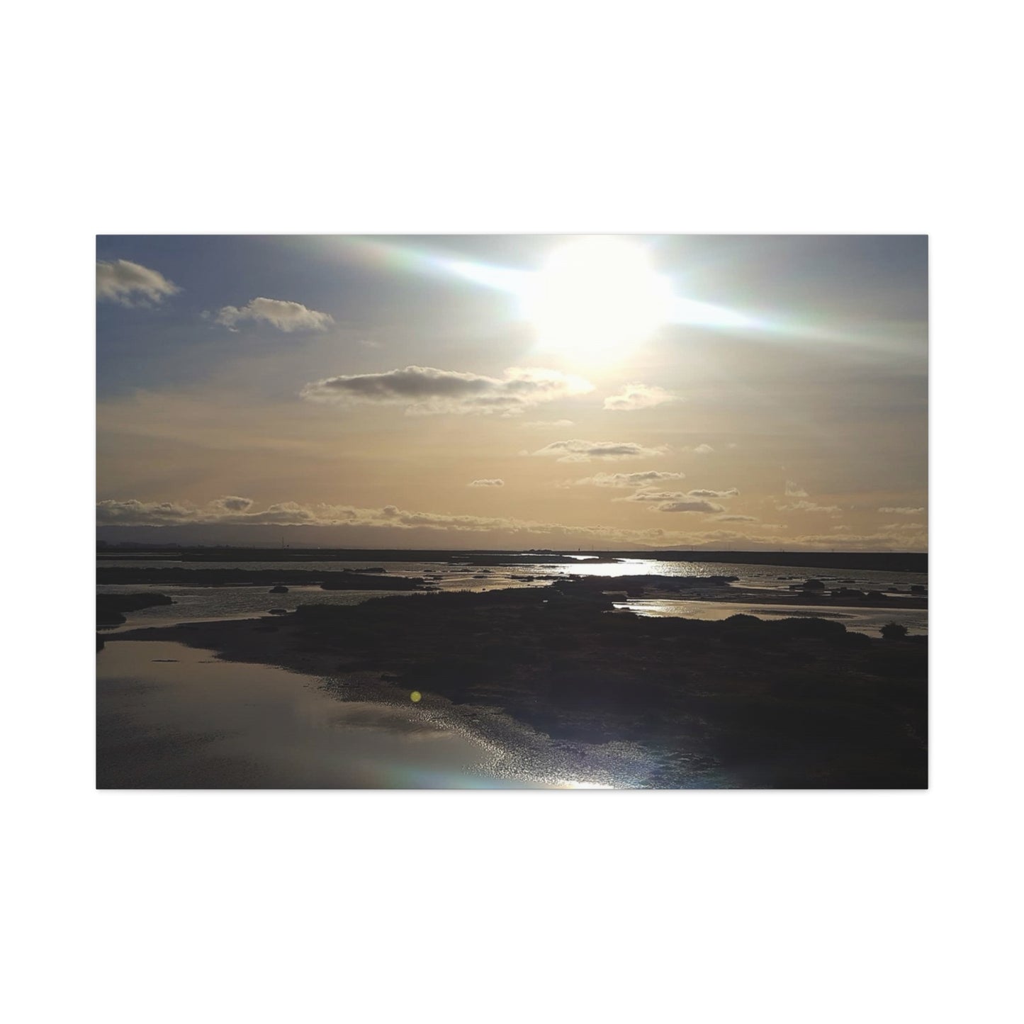 Sunlit Coastal Reflection (don edwards preserve)Canvas Print — Matte Stretched Wall Art