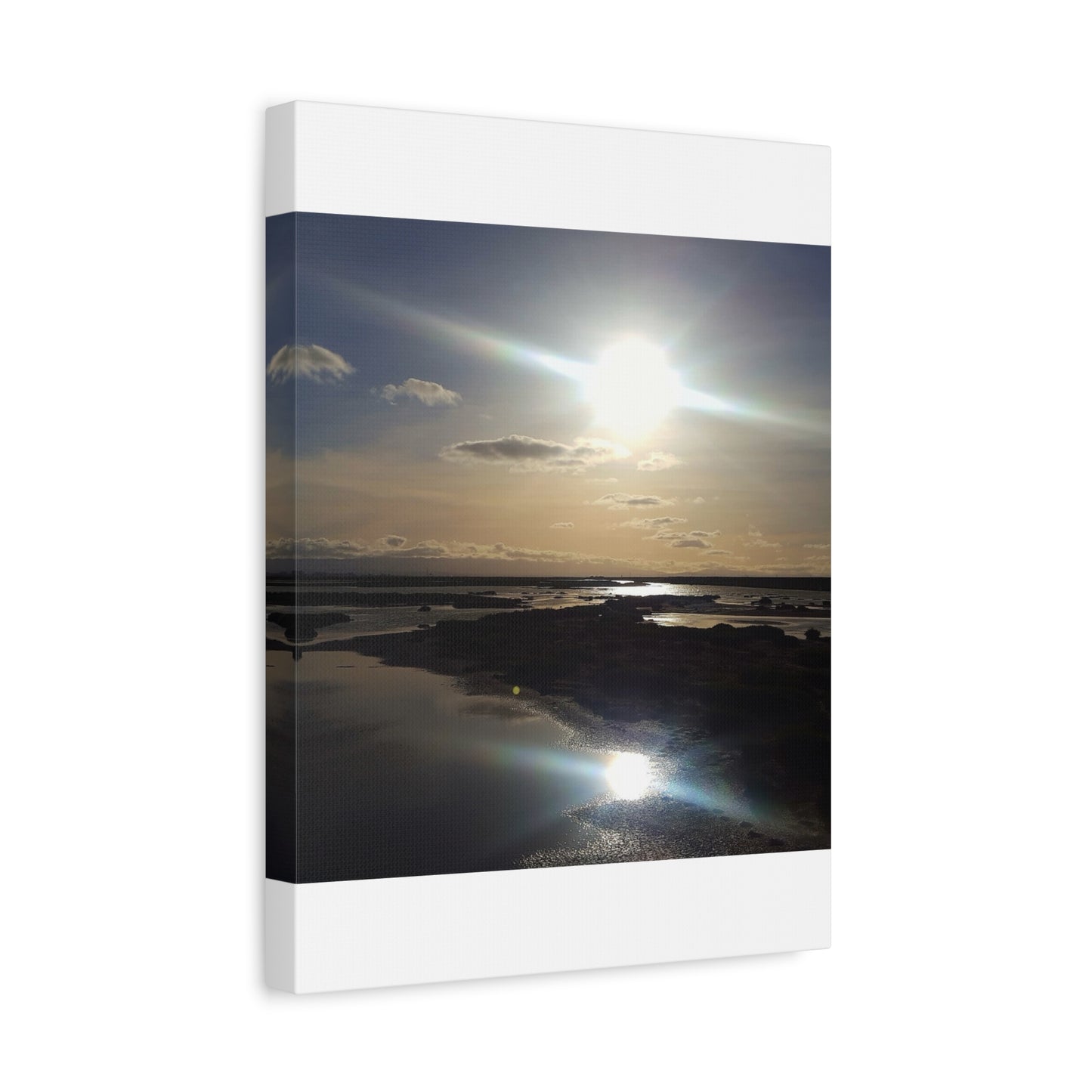 Sunlit Coastal Reflection (don edwards preserve)Canvas Print — Matte Stretched Wall Art