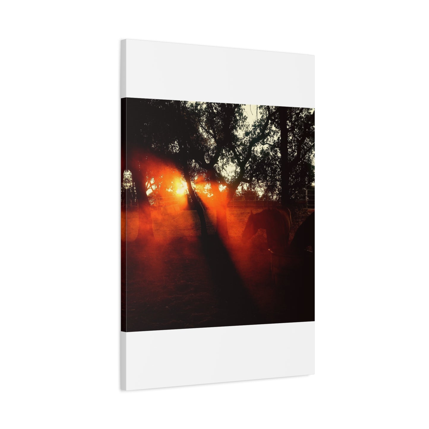 Sunset Forest Matte Canvas Wall Art — Dramatic Orange Light Photography