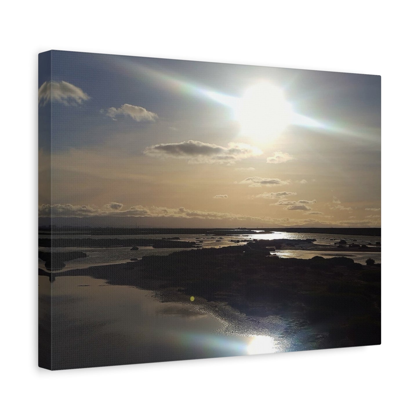 Sunlit Coastal Reflection (don edwards preserve)Canvas Print — Matte Stretched Wall Art
