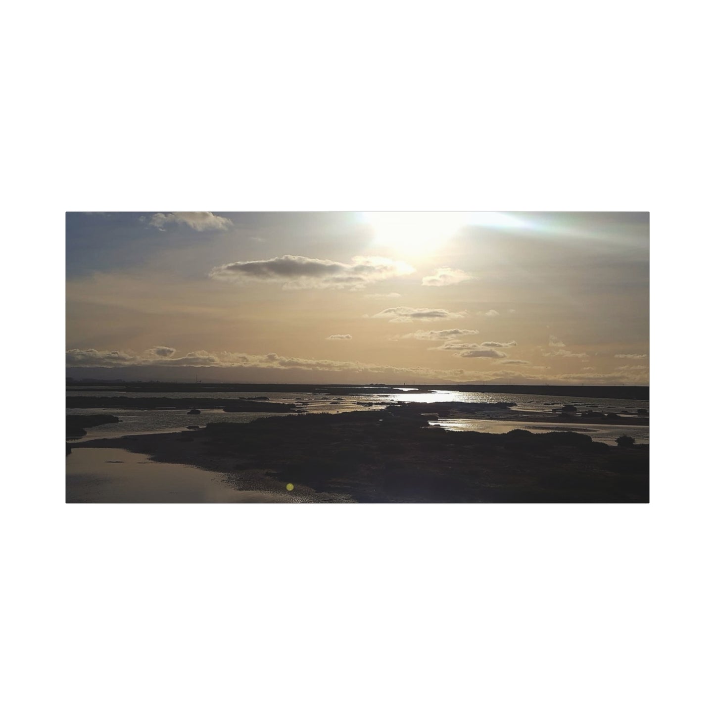 Sunlit Coastal Reflection (don edwards preserve)Canvas Print — Matte Stretched Wall Art