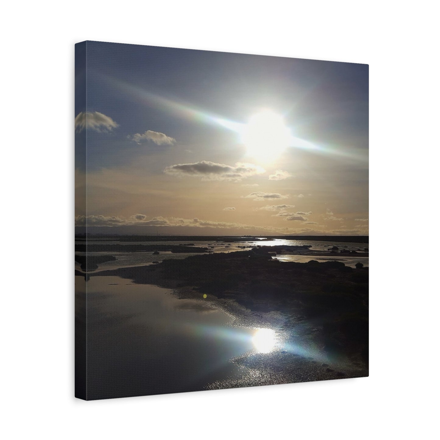 Sunlit Coastal Reflection (don edwards preserve)Canvas Print — Matte Stretched Wall Art
