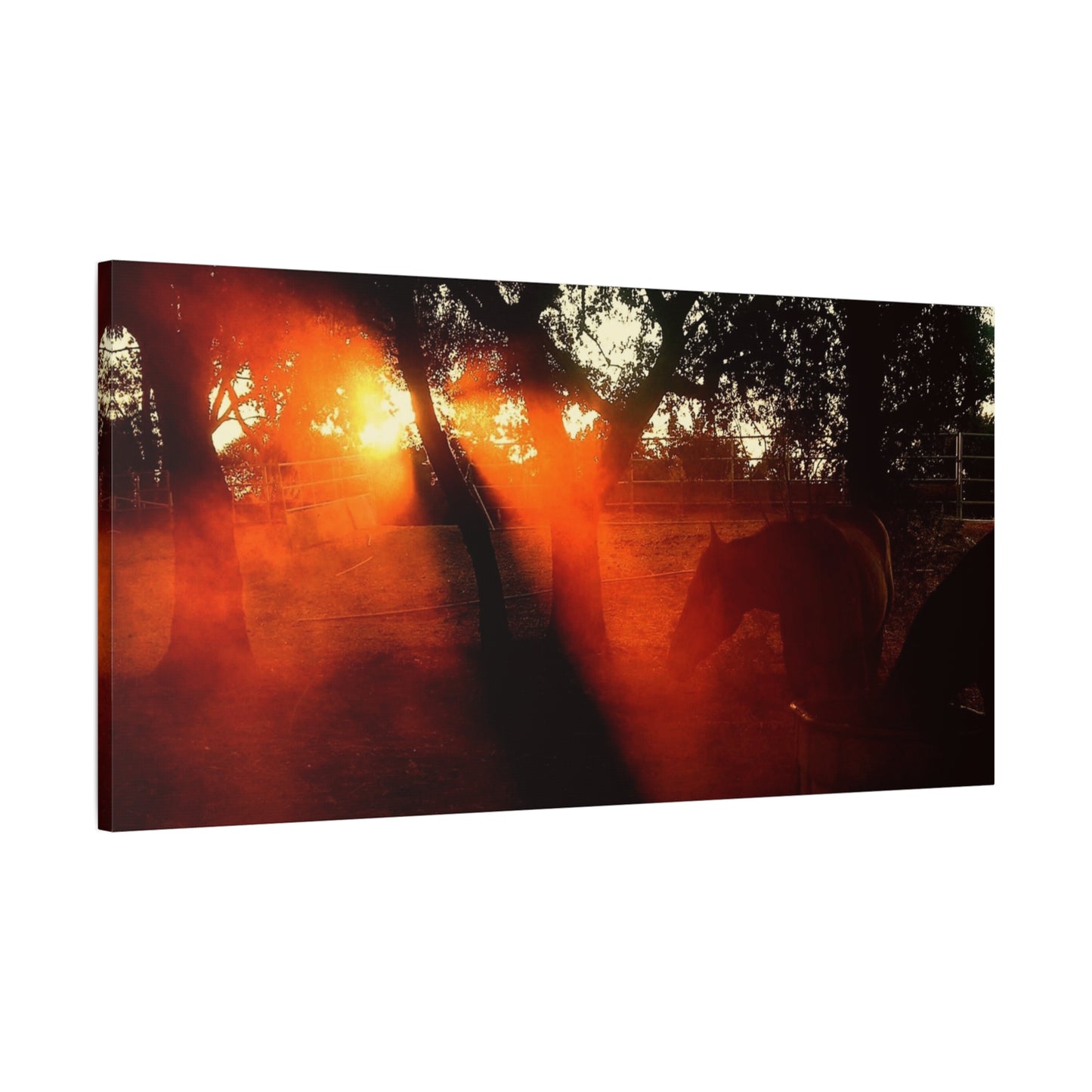 Sunset Forest Matte Canvas Wall Art — Dramatic Orange Light Photography