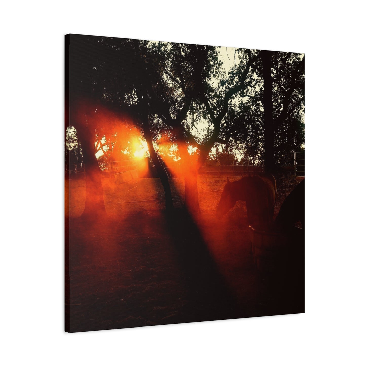 Sunset Forest Matte Canvas Wall Art — Dramatic Orange Light Photography