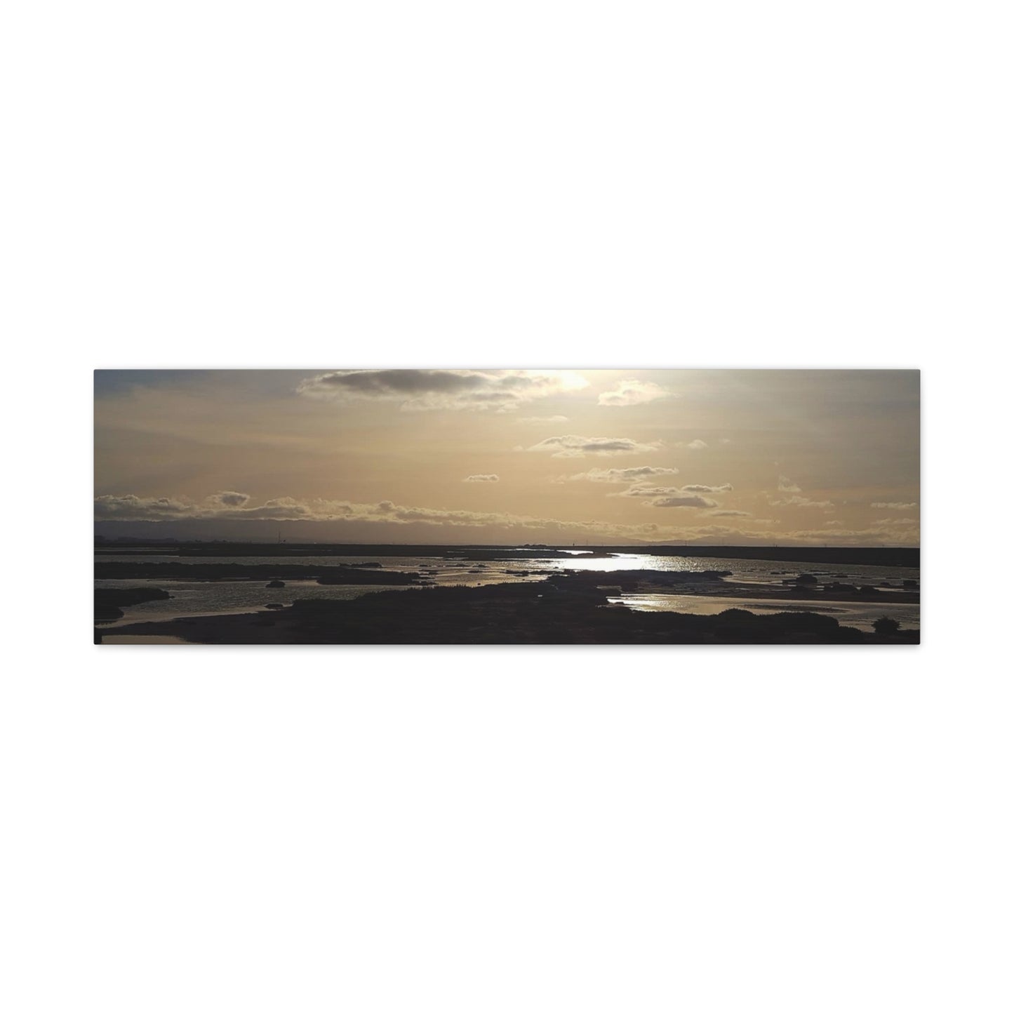 Sunlit Coastal Reflection (don edwards preserve)Canvas Print — Matte Stretched Wall Art