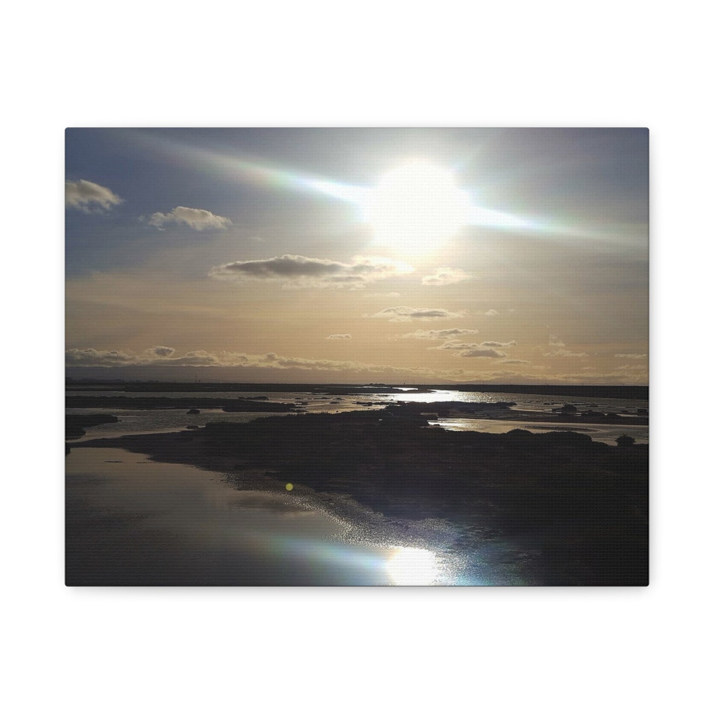 Sunlit Coastal Reflection (don edwards preserve)Canvas Print — Matte Stretched Wall Art
