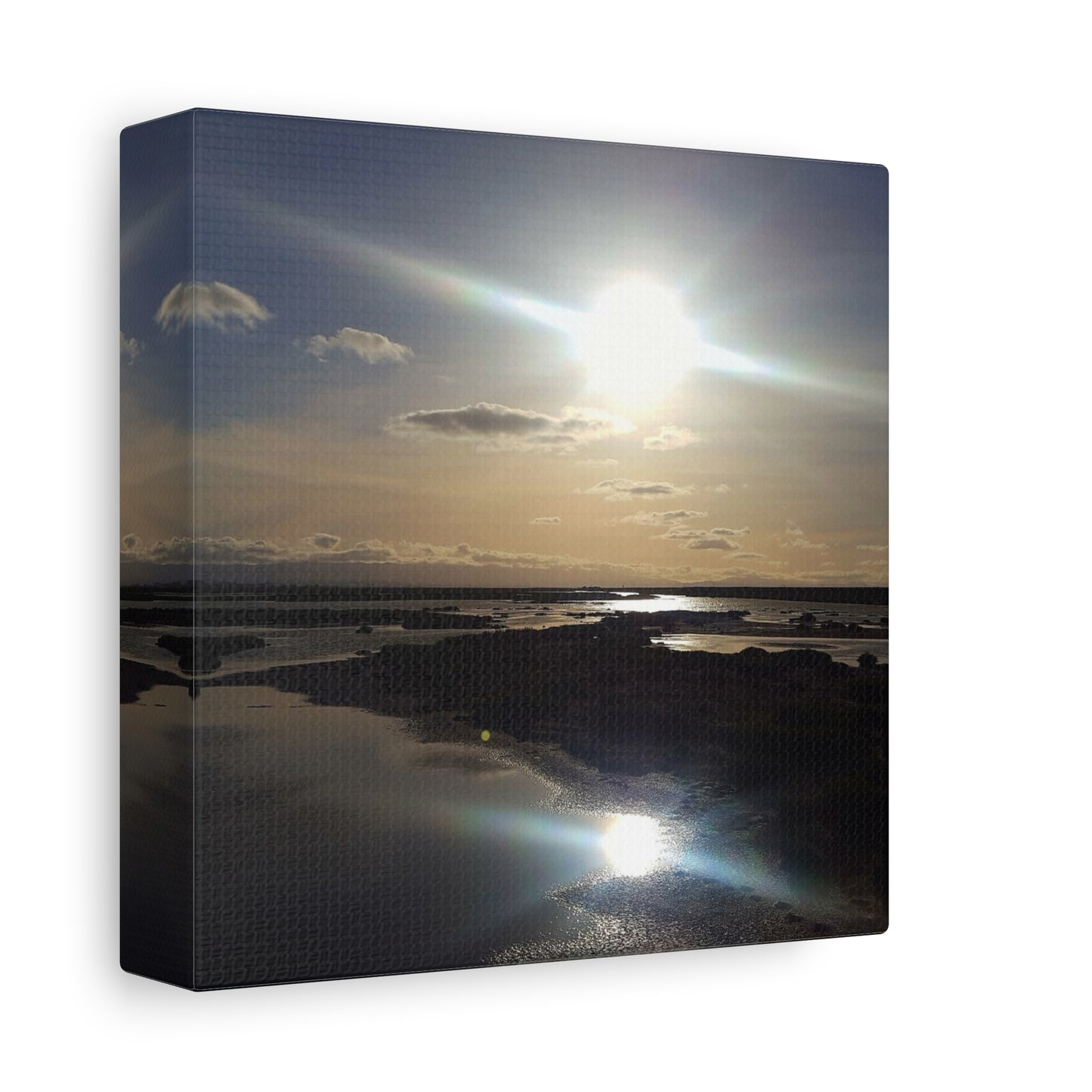 Sunlit Coastal Reflection (don edwards preserve)Canvas Print — Matte Stretched Wall Art