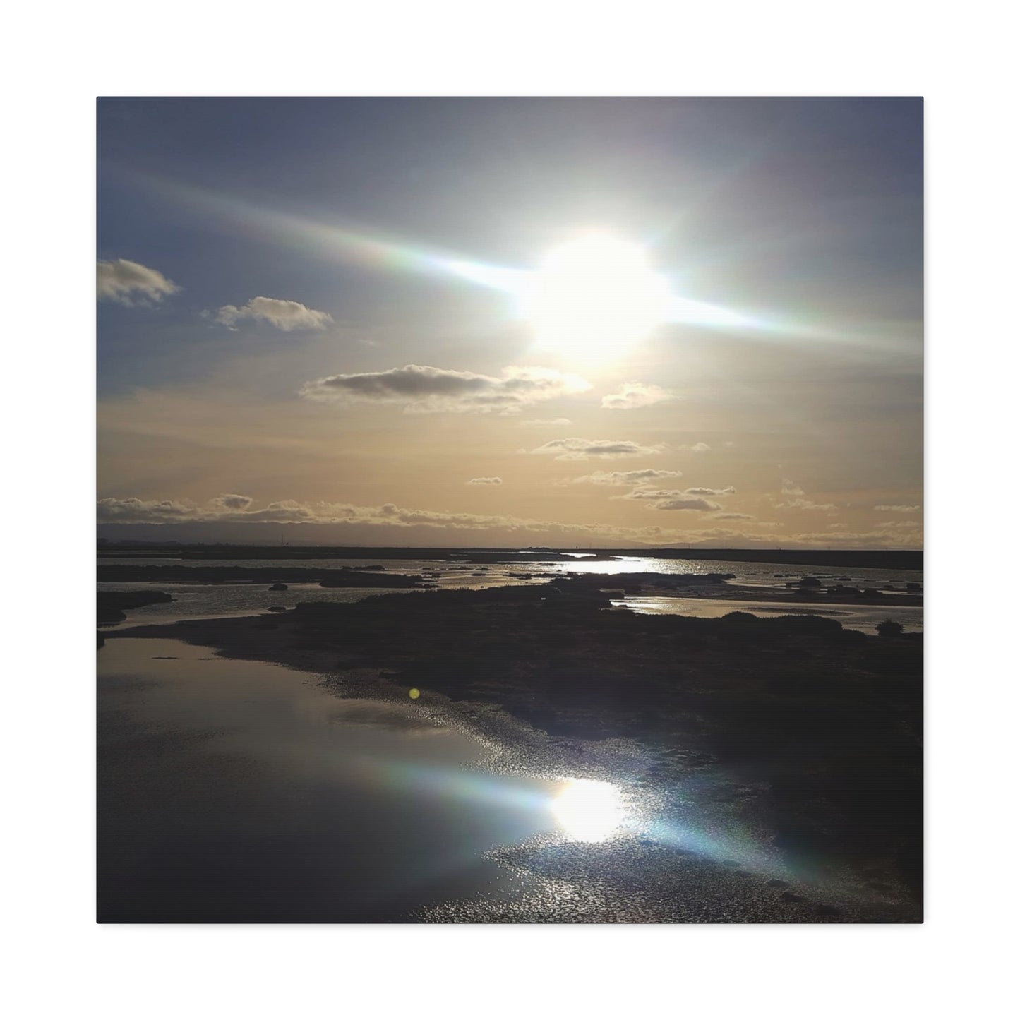 Sunlit Coastal Reflection (don edwards preserve)Canvas Print — Matte Stretched Wall Art