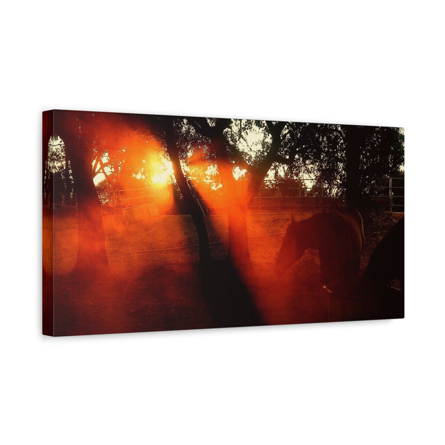 Sunset Forest Matte Canvas Wall Art — Dramatic Orange Light Photography