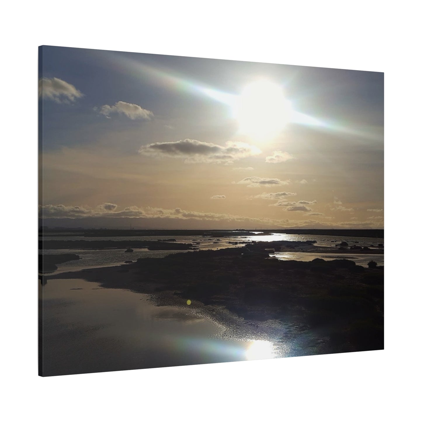 Sunlit Coastal Reflection (don edwards preserve)Canvas Print — Matte Stretched Wall Art