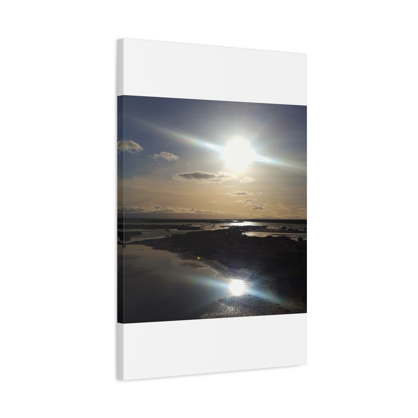 Sunlit Coastal Reflection (don edwards preserve)Canvas Print — Matte Stretched Wall Art