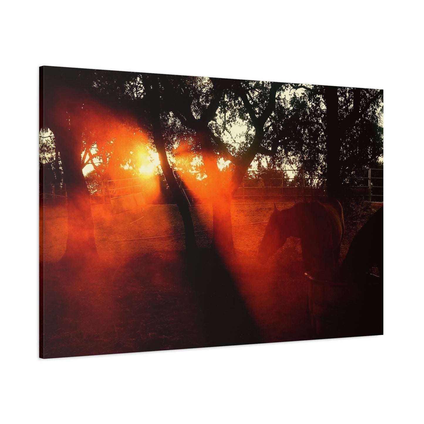Sunset Forest Matte Canvas Wall Art — Dramatic Orange Light Photography