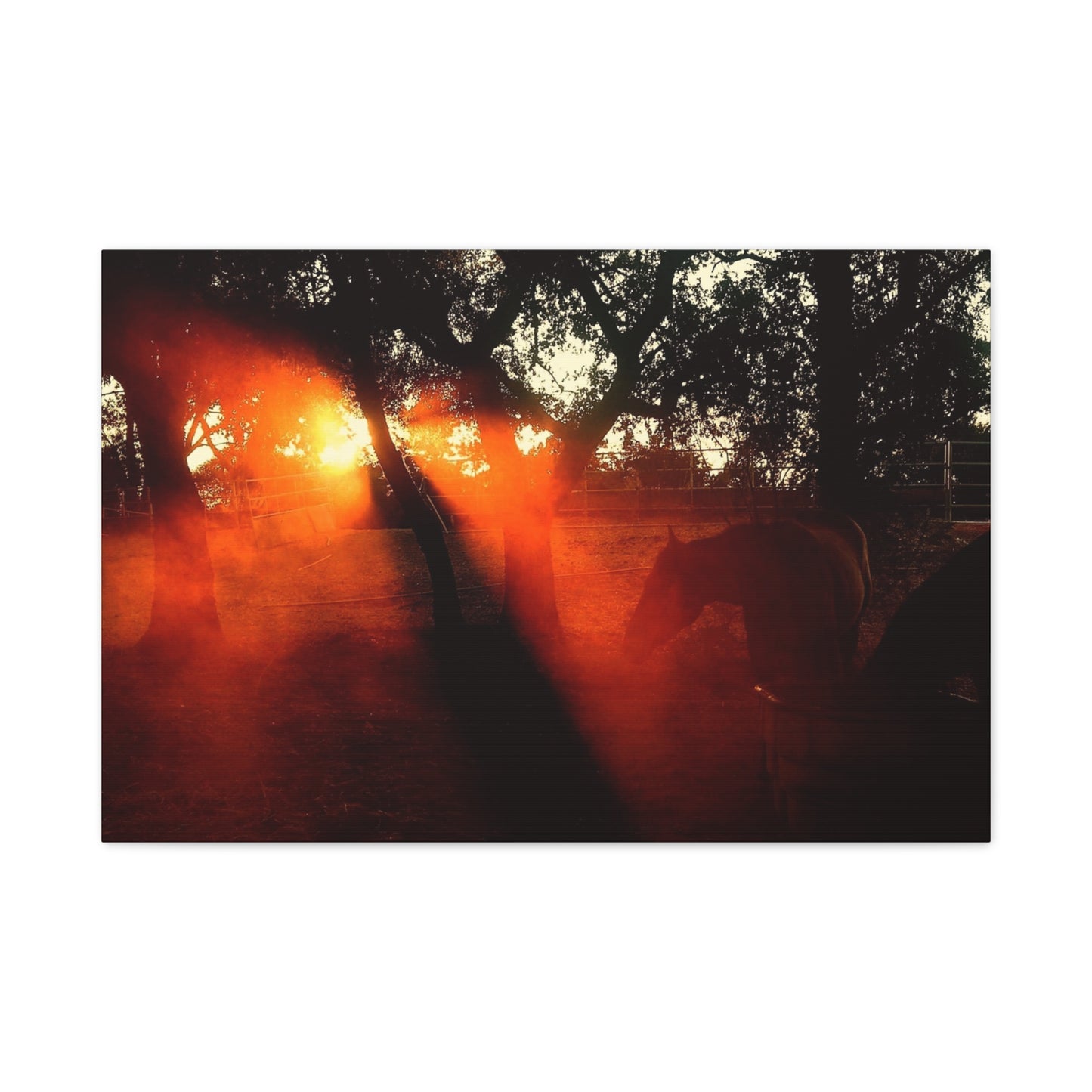 Sunset Forest Matte Canvas Wall Art — Dramatic Orange Light Photography