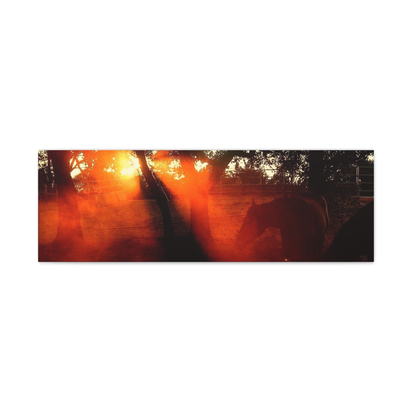 Sunset Forest Matte Canvas Wall Art — Dramatic Orange Light Photography