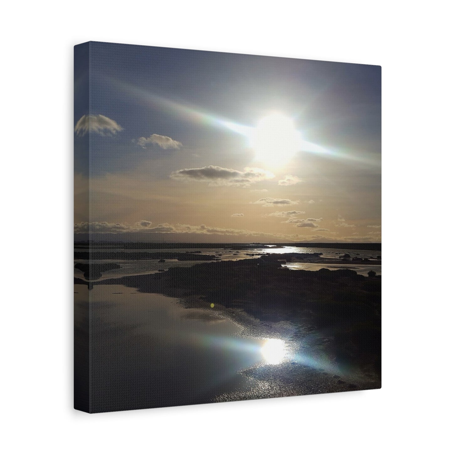 Sunlit Coastal Reflection (don edwards preserve)Canvas Print — Matte Stretched Wall Art