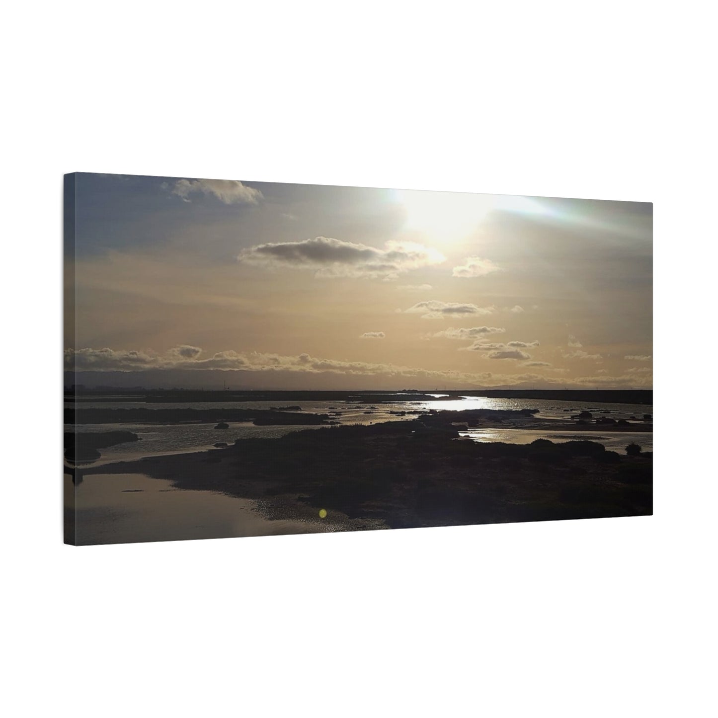 Sunlit Coastal Reflection (don edwards preserve)Canvas Print — Matte Stretched Wall Art