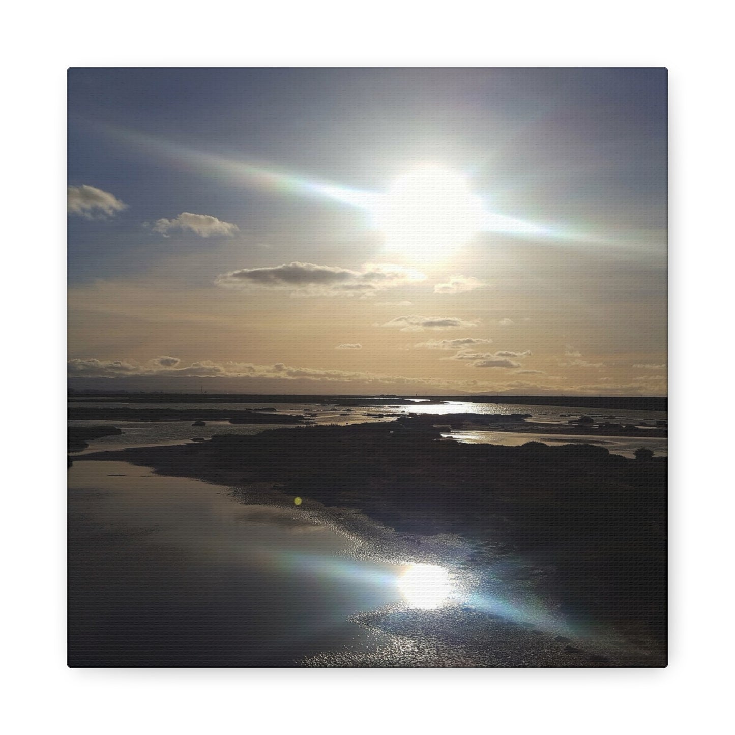 Sunlit Coastal Reflection (don edwards preserve)Canvas Print — Matte Stretched Wall Art