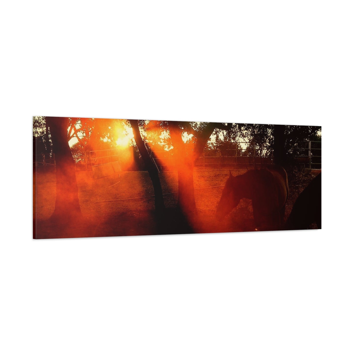 Sunset Forest Matte Canvas Wall Art — Dramatic Orange Light Photography