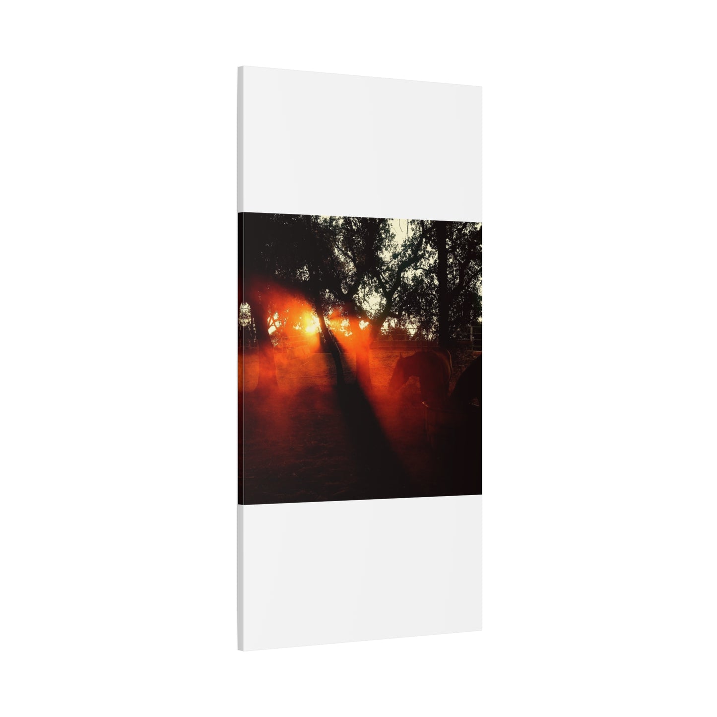 Sunset Forest Matte Canvas Wall Art — Dramatic Orange Light Photography