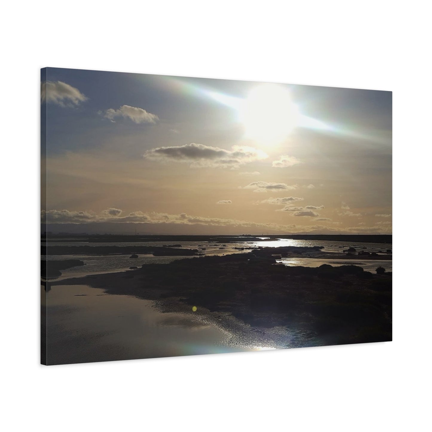 Sunlit Coastal Reflection (don edwards preserve)Canvas Print — Matte Stretched Wall Art