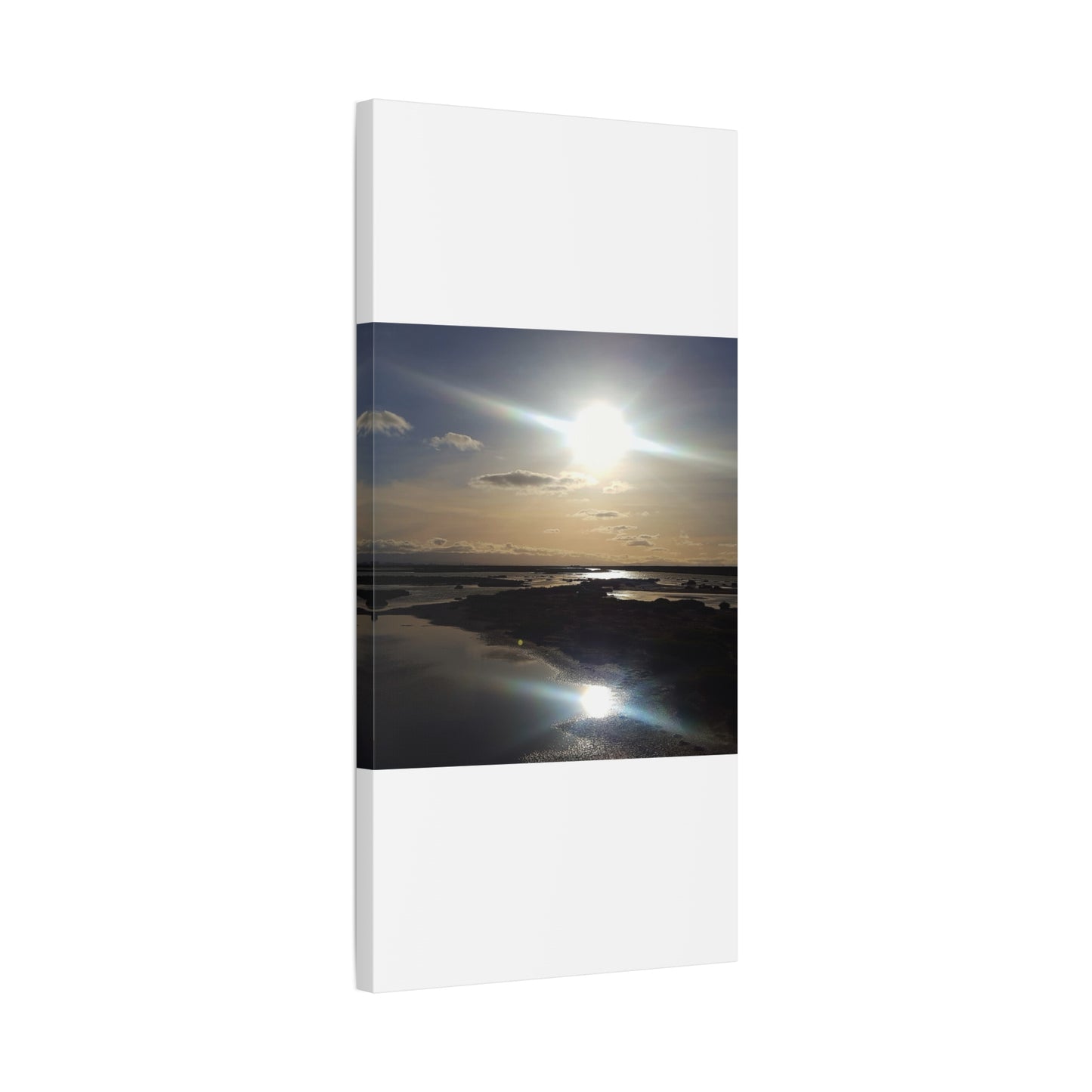 Sunlit Coastal Reflection (don edwards preserve)Canvas Print — Matte Stretched Wall Art