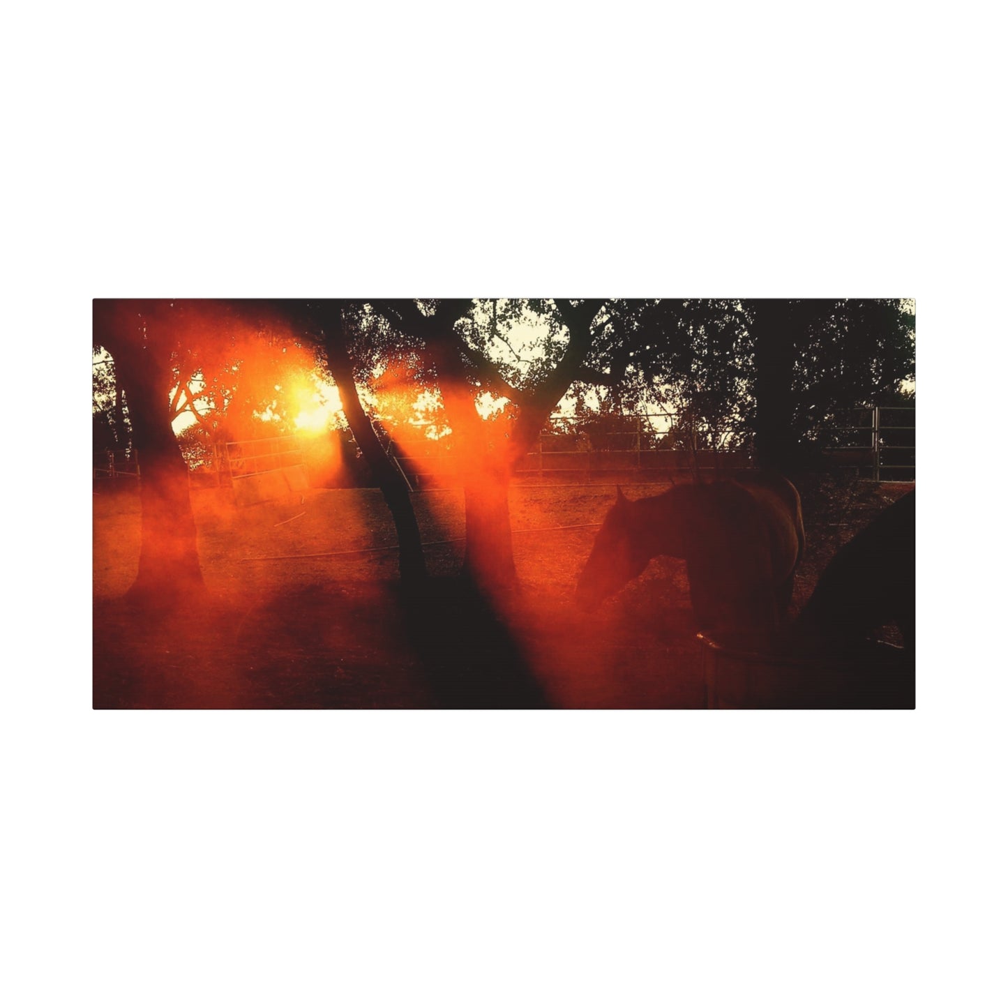 Sunset Forest Matte Canvas Wall Art — Dramatic Orange Light Photography
