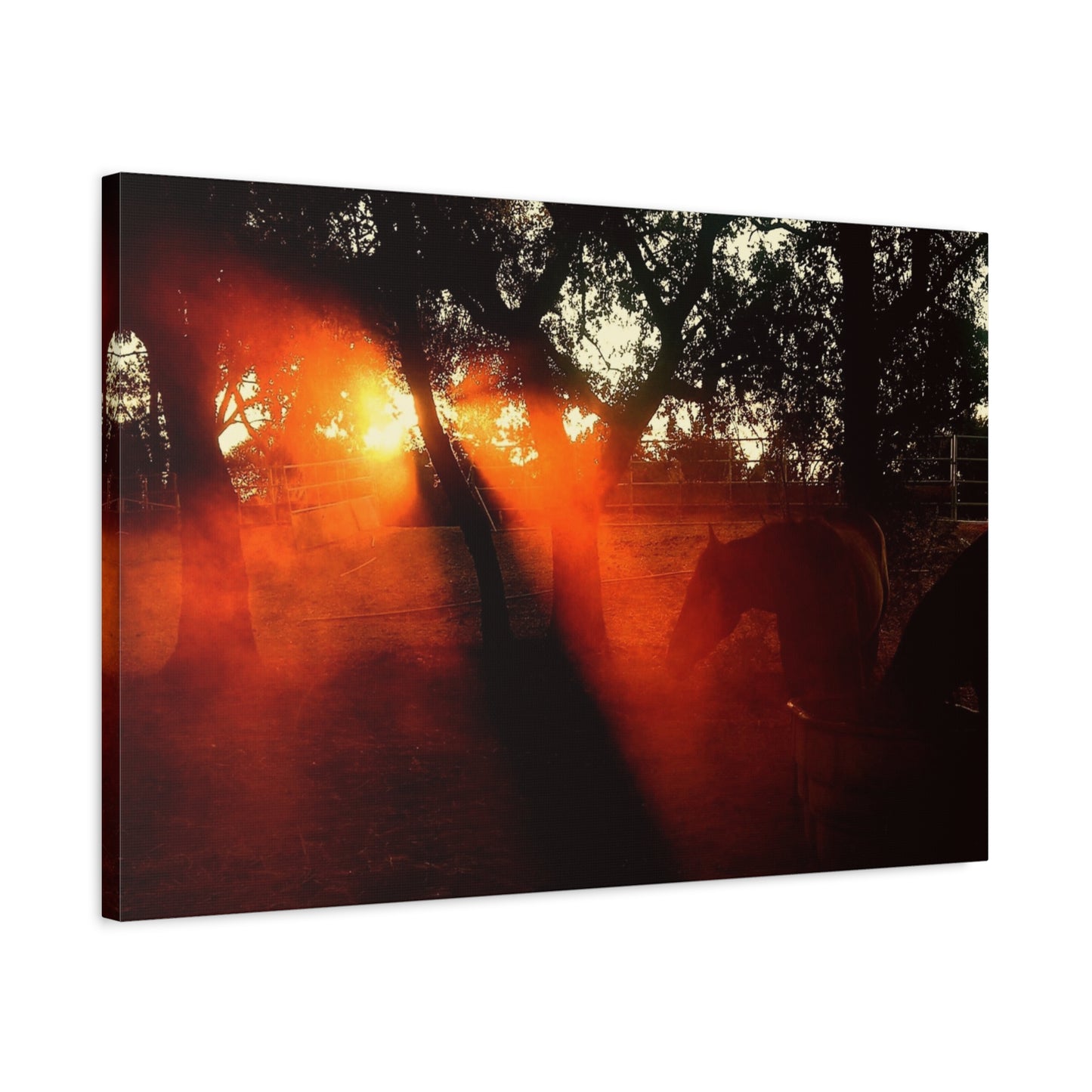 Sunset Forest Matte Canvas Wall Art — Dramatic Orange Light Photography