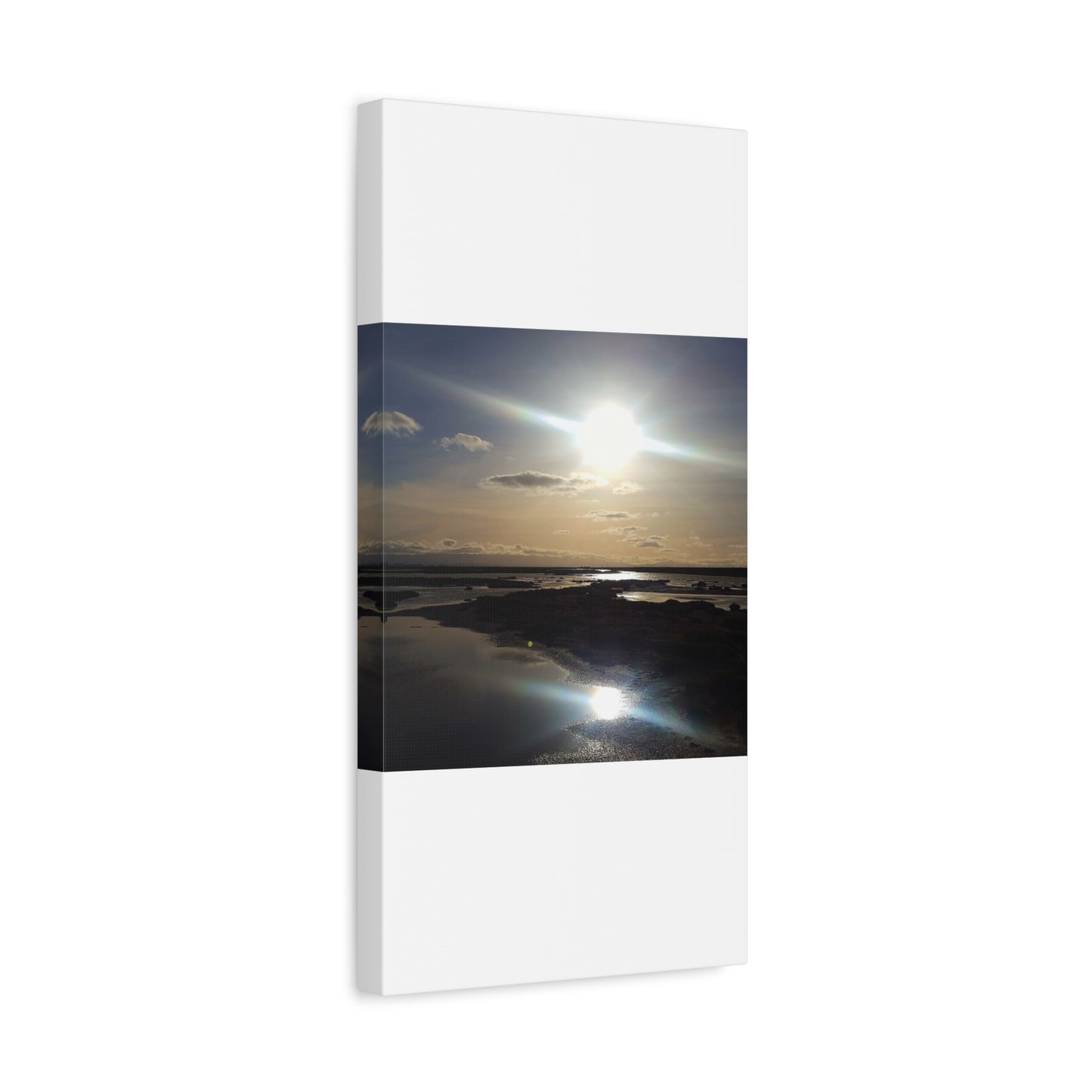 Sunlit Coastal Reflection (don edwards preserve)Canvas Print — Matte Stretched Wall Art