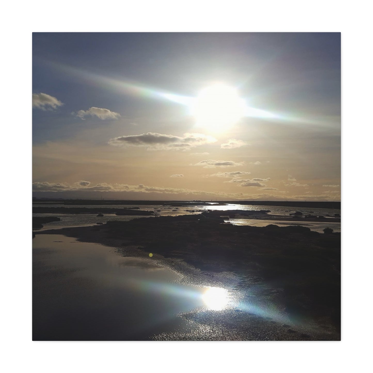 Sunlit Coastal Reflection (don edwards preserve)Canvas Print — Matte Stretched Wall Art