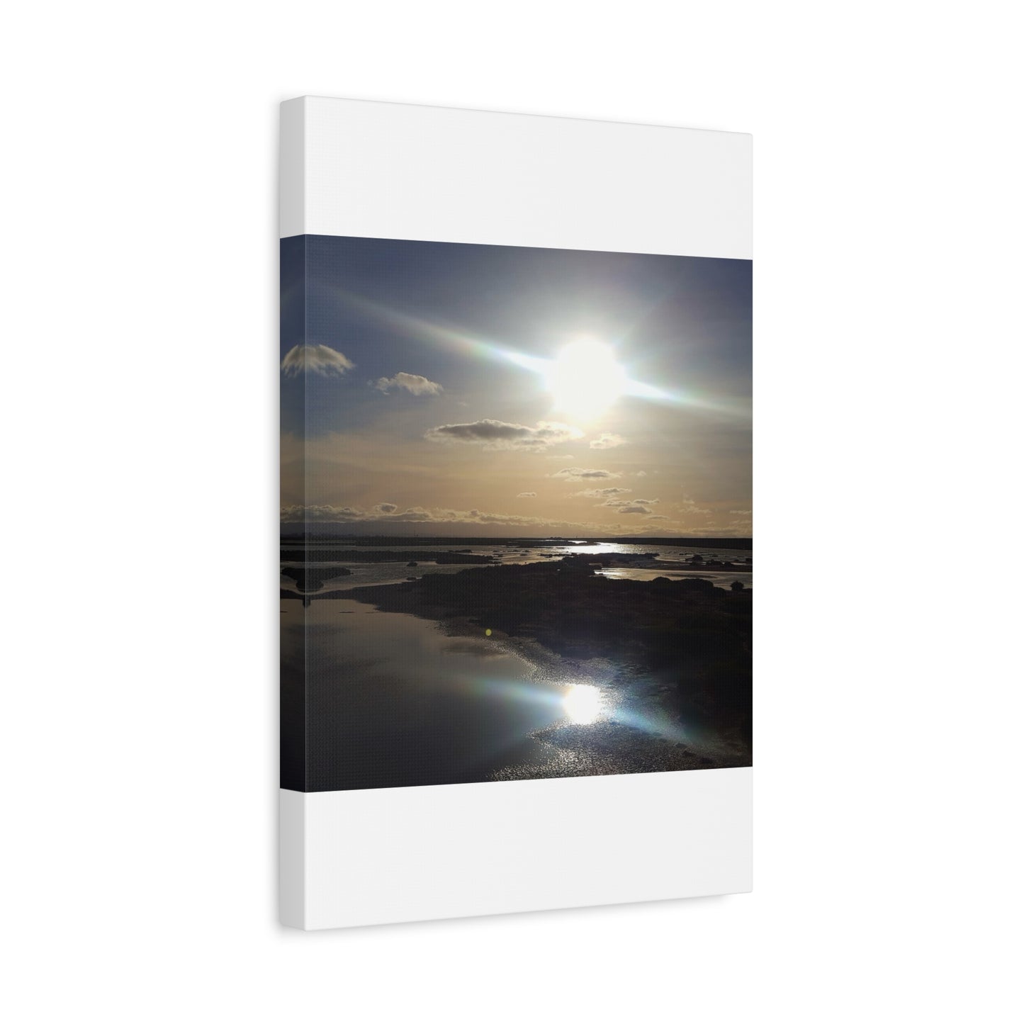 Sunlit Coastal Reflection (don edwards preserve)Canvas Print — Matte Stretched Wall Art