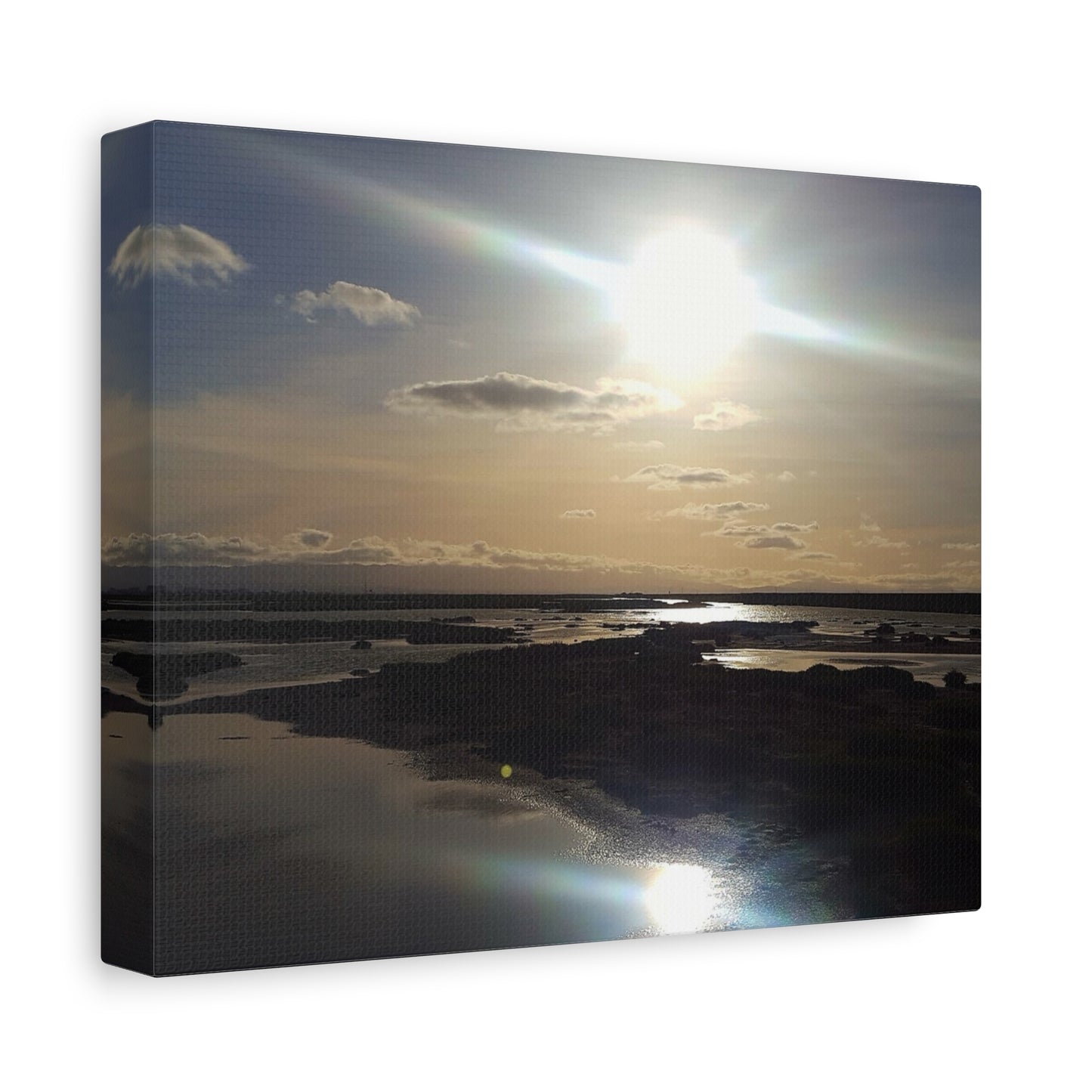 Sunlit Coastal Reflection (don edwards preserve)Canvas Print — Matte Stretched Wall Art