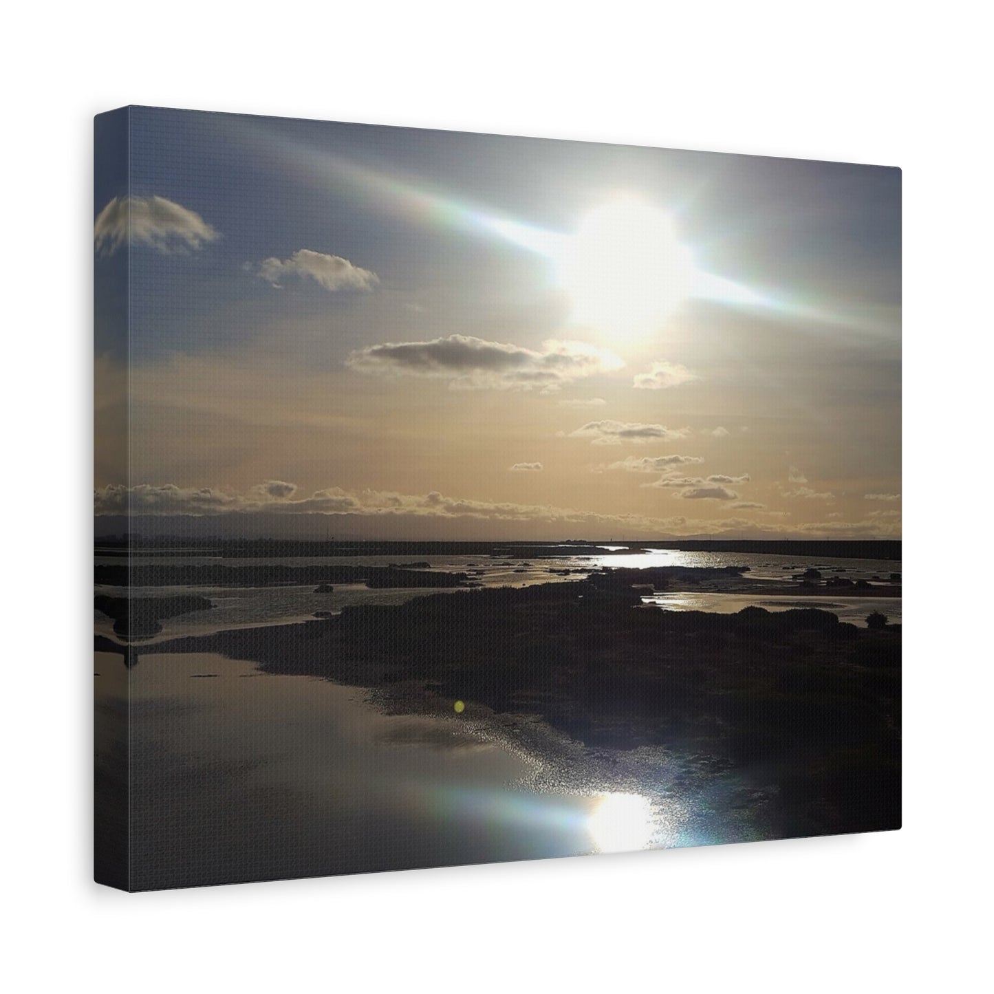 Sunlit Coastal Reflection (don edwards preserve)Canvas Print — Matte Stretched Wall Art