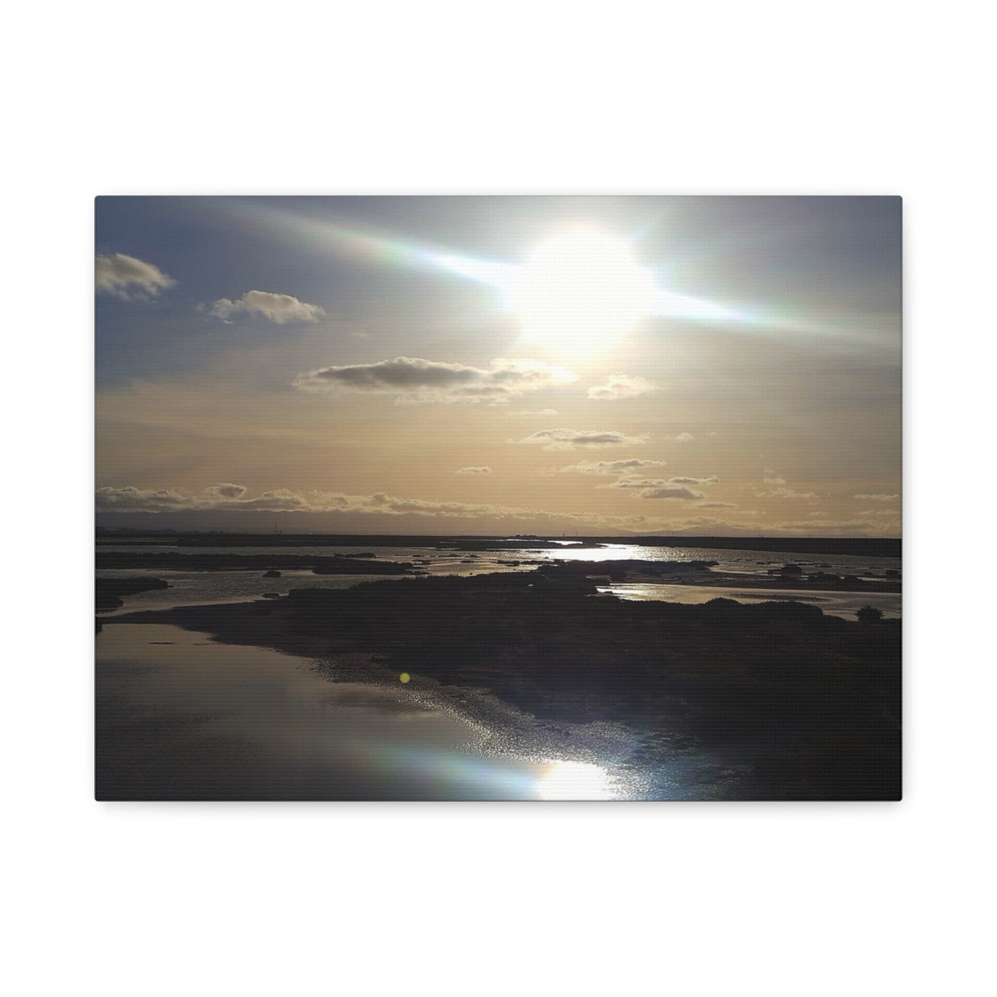 Sunlit Coastal Reflection (don edwards preserve)Canvas Print — Matte Stretched Wall Art