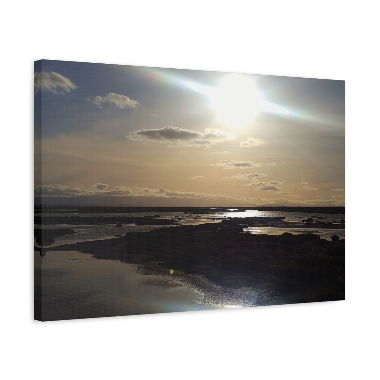 Sunlit Coastal Reflection (don edwards preserve)Canvas Print — Matte Stretched Wall Art